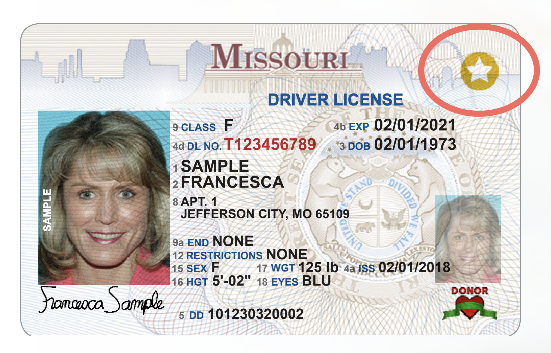 How Much Is A Nebraska Fake Id