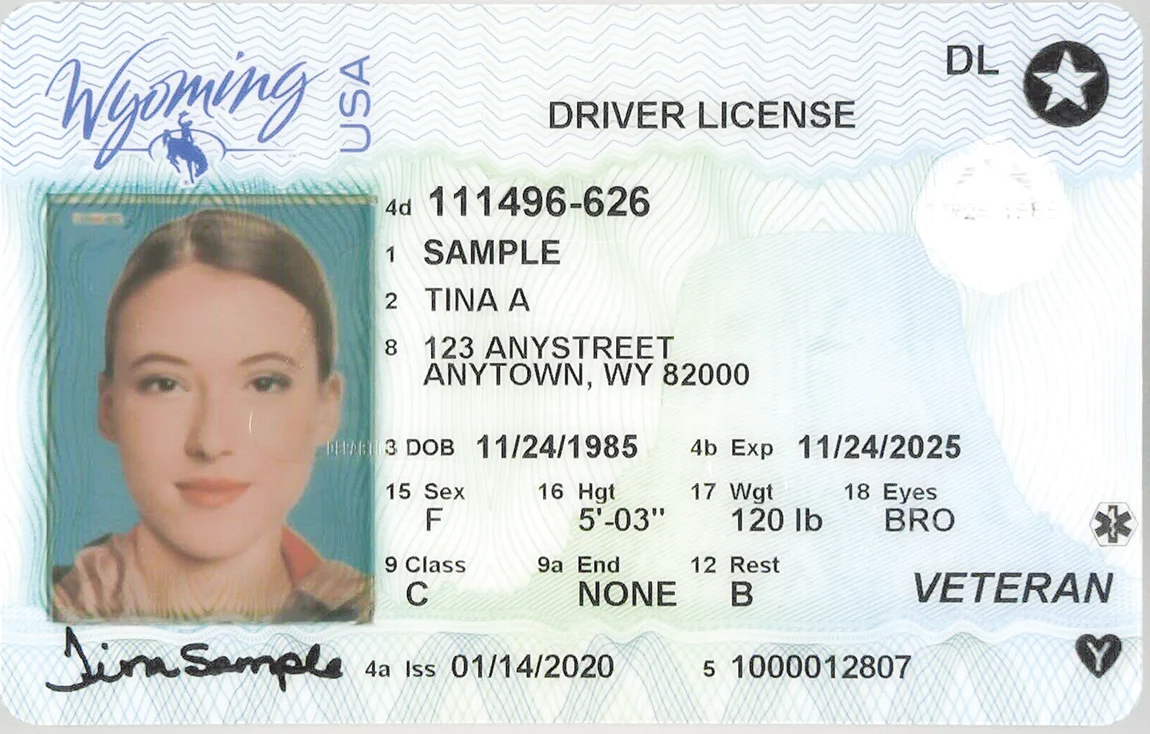 How Much Is A Wyoming Scannable Fake Id