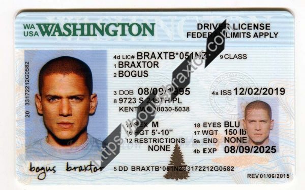 How To Get A Washington Fake Id