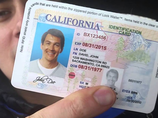 how to spot fake ids