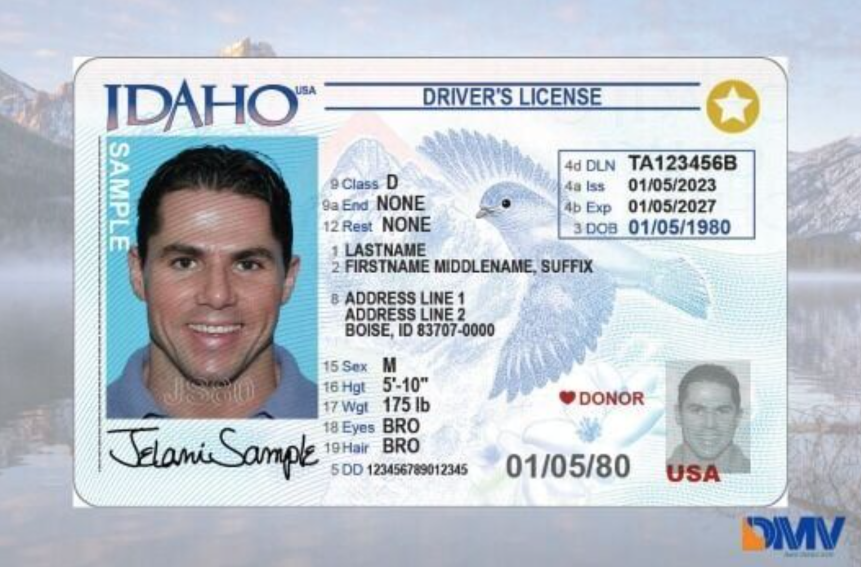 Idaho Fake Id Website