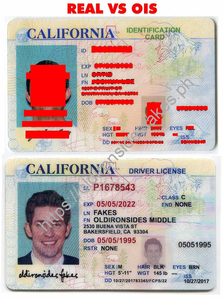 ironside fake ids