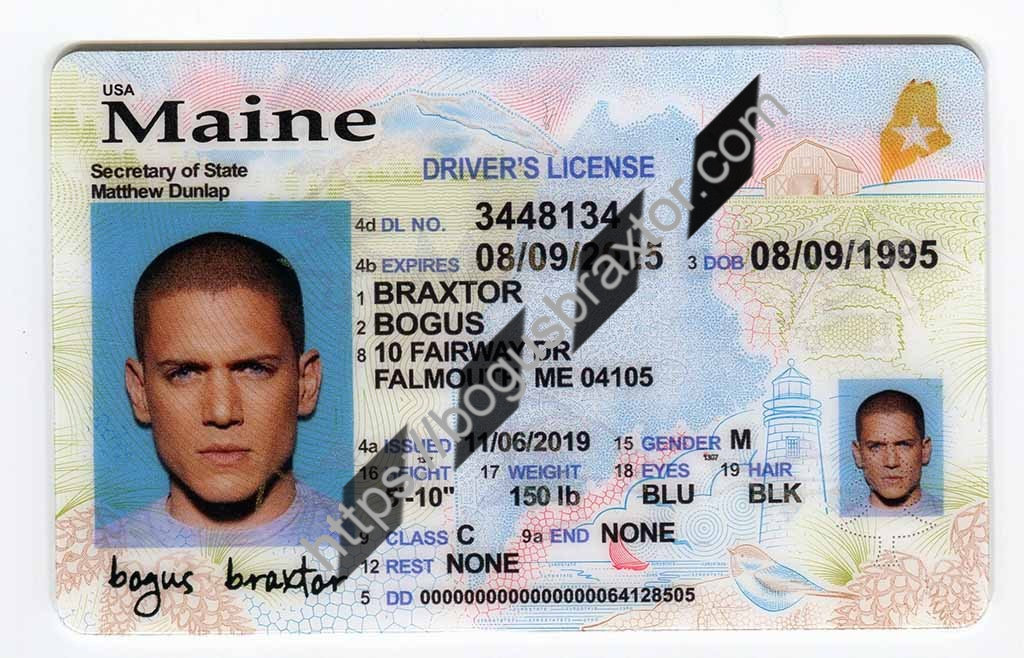 Maine Fake Id Charges