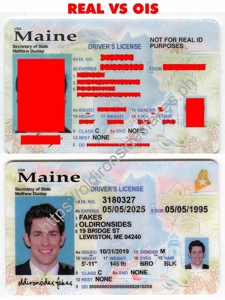 Maine Fake Id Charges