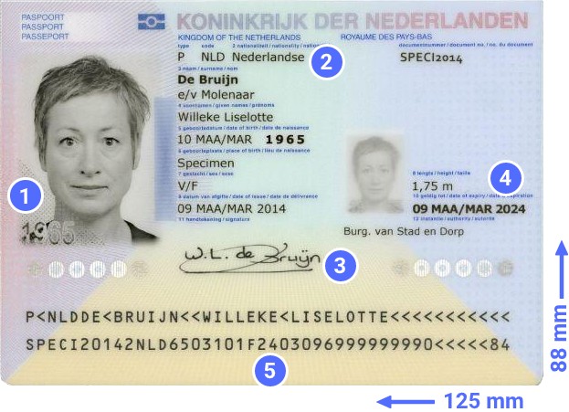 Maine Scannable Fake Id Online