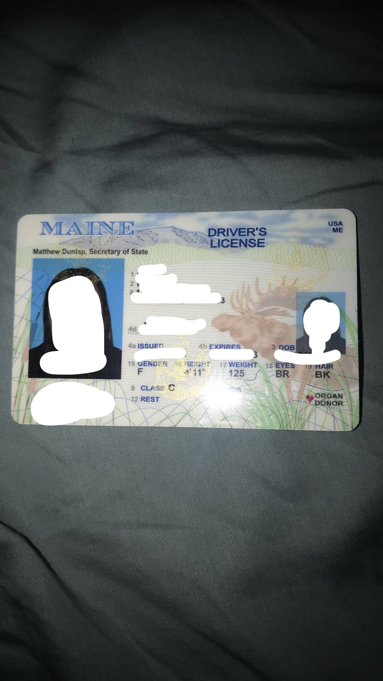 Maine Scannable fake id