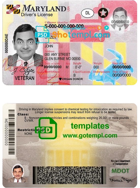 Maryland Fake Id Templates