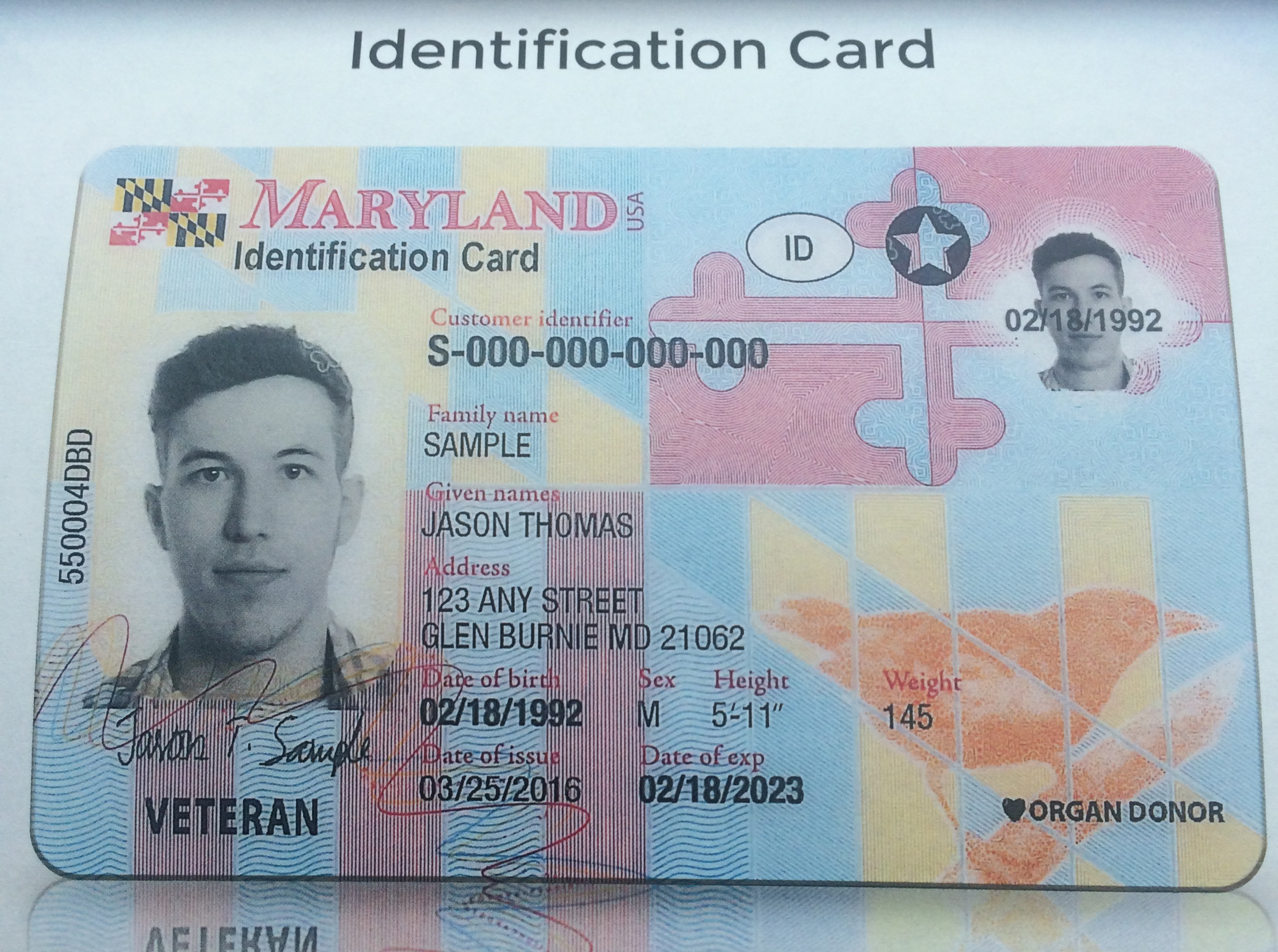 Maryland Fake Id Templates