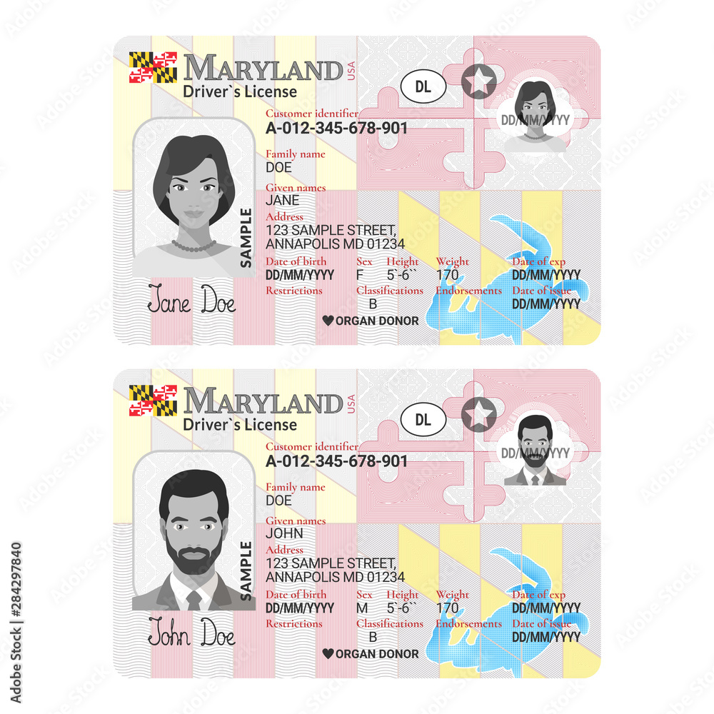 Maryland Fake Id Templates