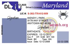 Maryland Fake Id Templates