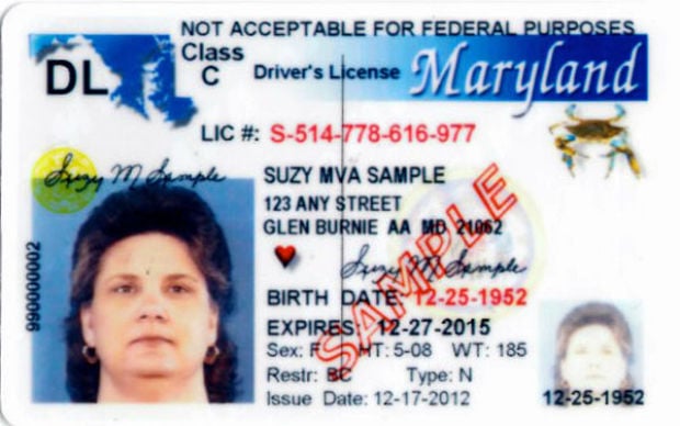 Maryland fake id