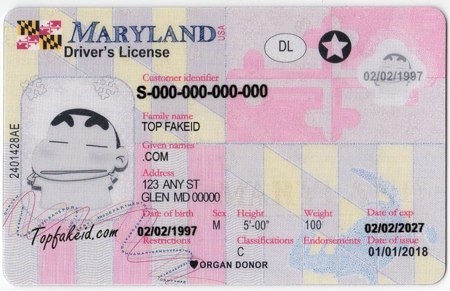 Maryland fake id