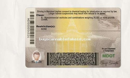 Maryland Scannable Fake Id Front And Back