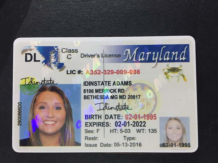 Maryland Scannable fake id