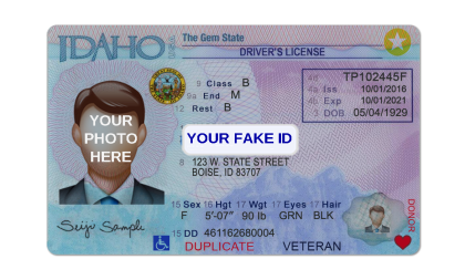 Massachusetts Fake Id Templates