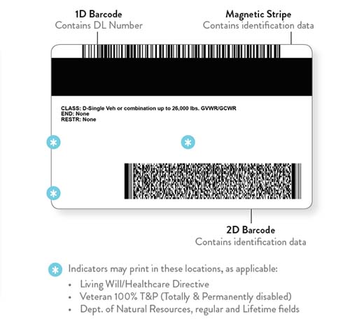 Minnesota Fake Id Online