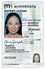 Minnesota fake id