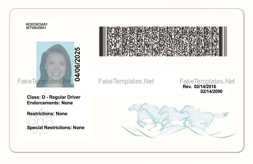 Montana Fake Id Templates