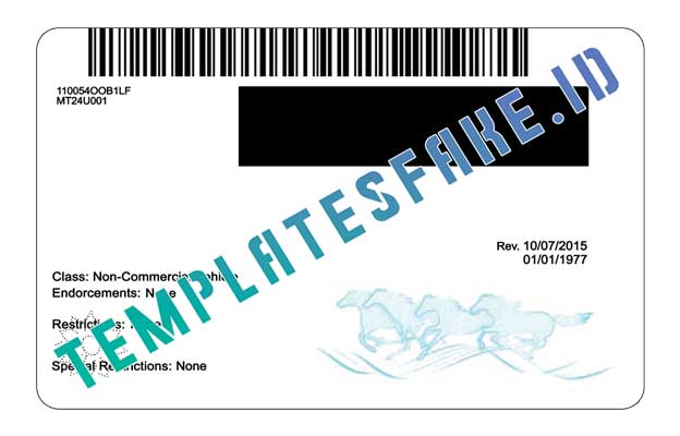 Montana Fake Id Templates