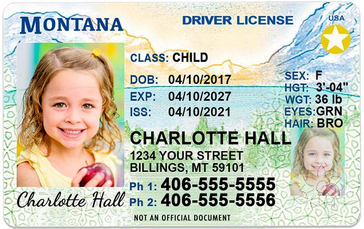 Montana Fake Id Templates