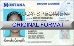 Montana Scannable fake id