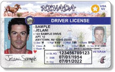 Nevada fake id