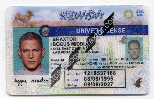 Nevada fake id