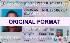 New Hampshire Scannable fake id