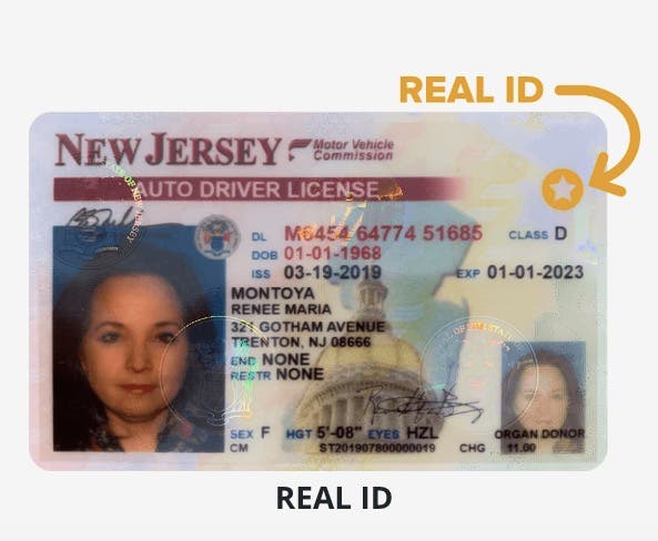 New Jersey fake id