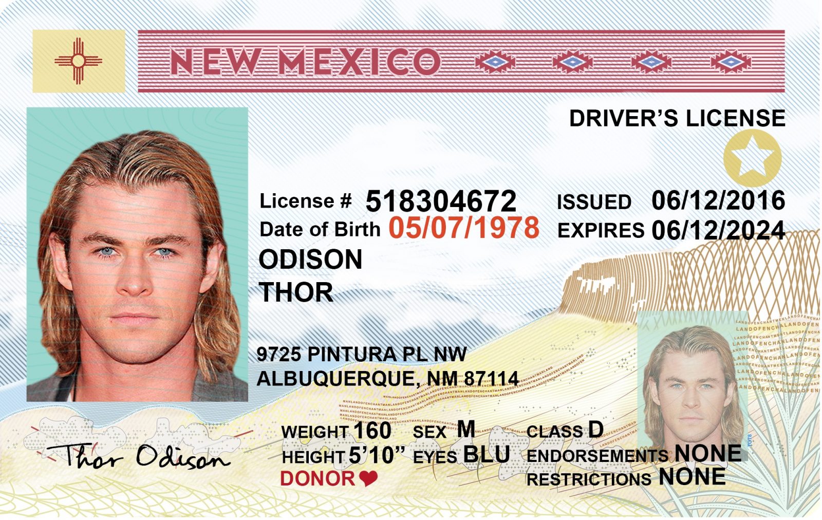 New Mexico Fake Id Charges