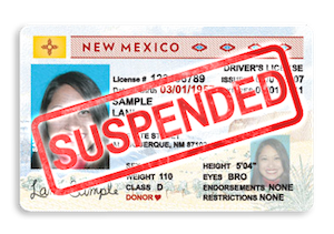 New Mexico Fake Id Charges