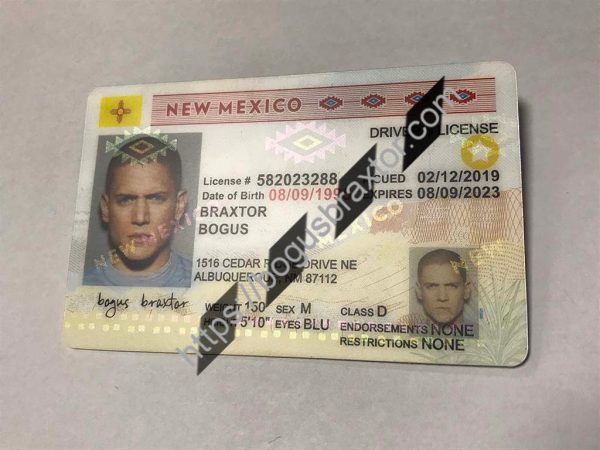 New Mexico fake id
