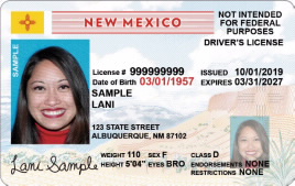 New Mexico Scannable Fake Id Charges