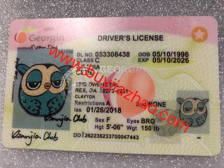 Order Georgia Fake Id