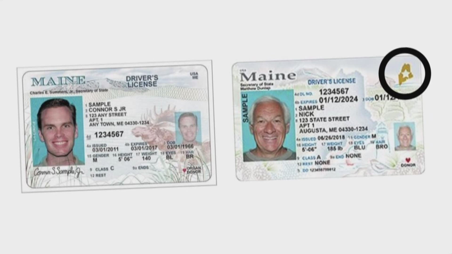 Order Maine Fake Id