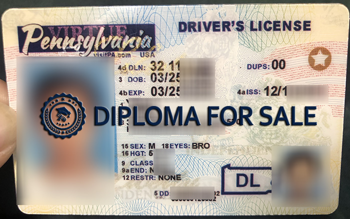 Order Pennsylvania Fake Id