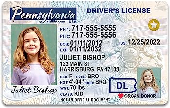 Order Pennsylvania Fake Id