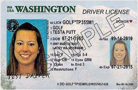 Order Washington Fake Id