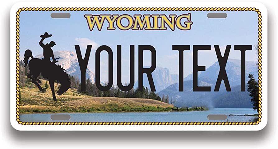 Order Wyoming Fake Id