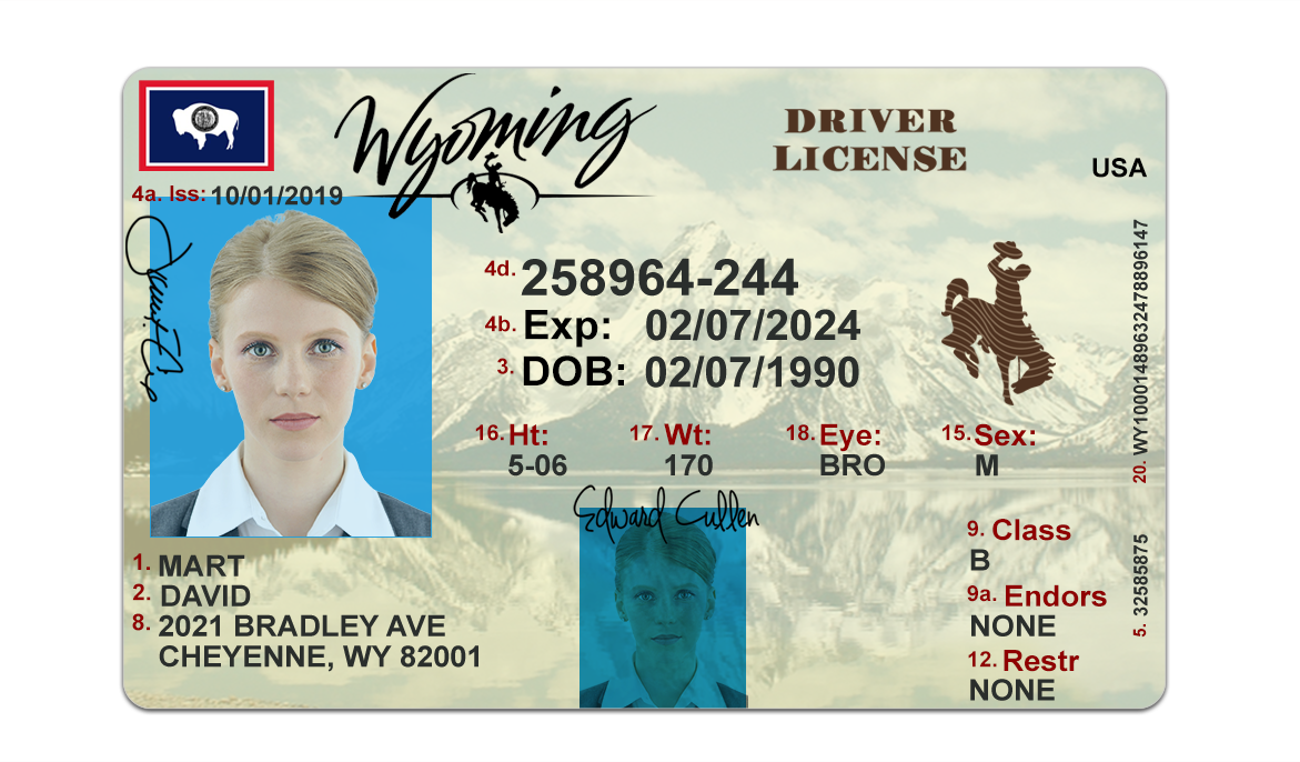 Order Wyoming Fake Id