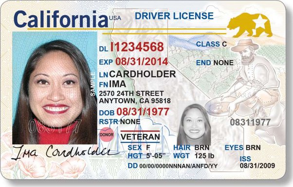 Oregon Fake Id Online