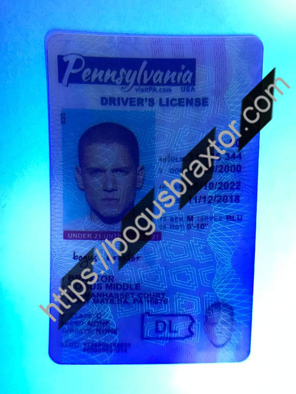 Pennsylvania Scannable fake id