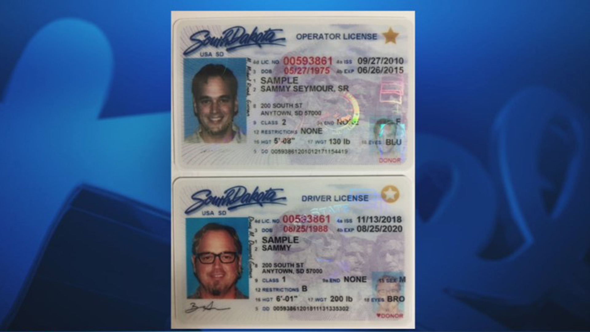 South Dakota Fake Id Reddit