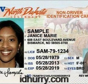 South Dakota Scannable Fake Id Website