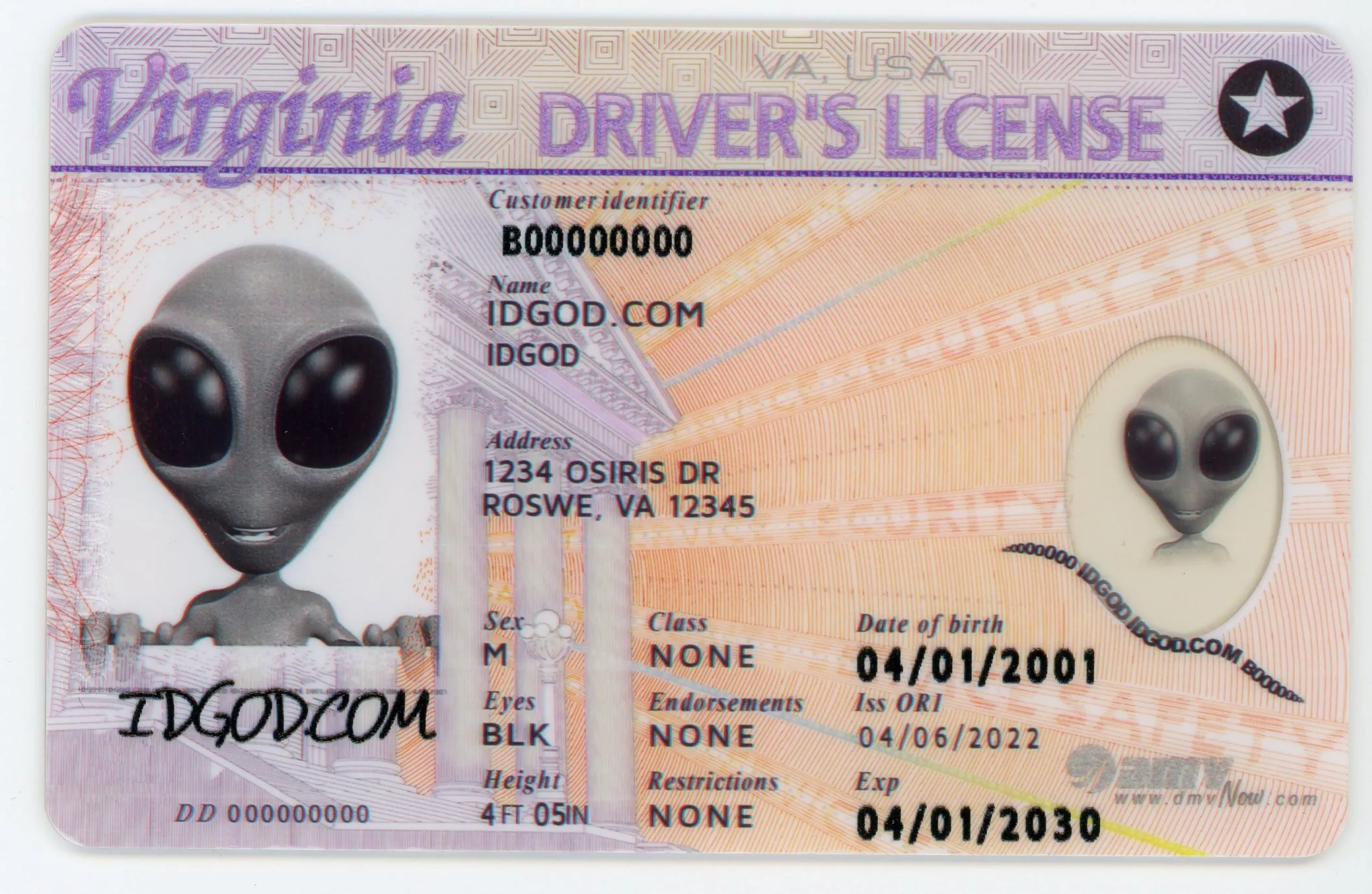 Virginia Fake Id Roblox