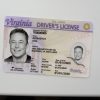 Virginia fake id