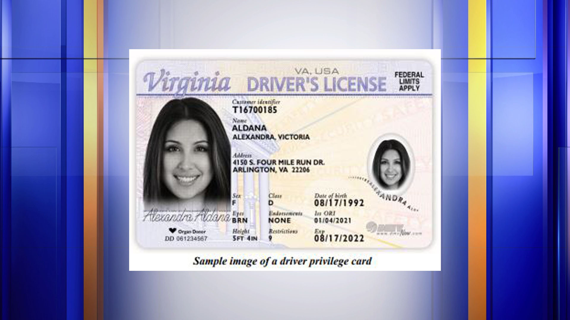 Virginia fake id