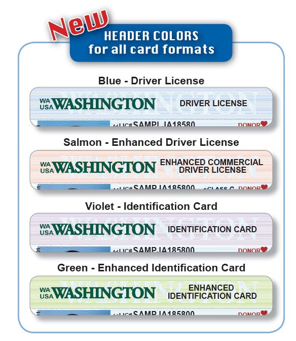 Washington Fake Id Website