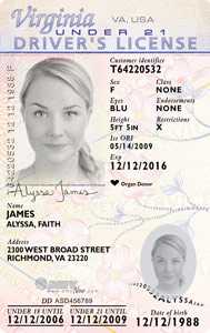 West Virginia Fake Id Charges