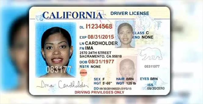 Where To Buy A California Fake Id